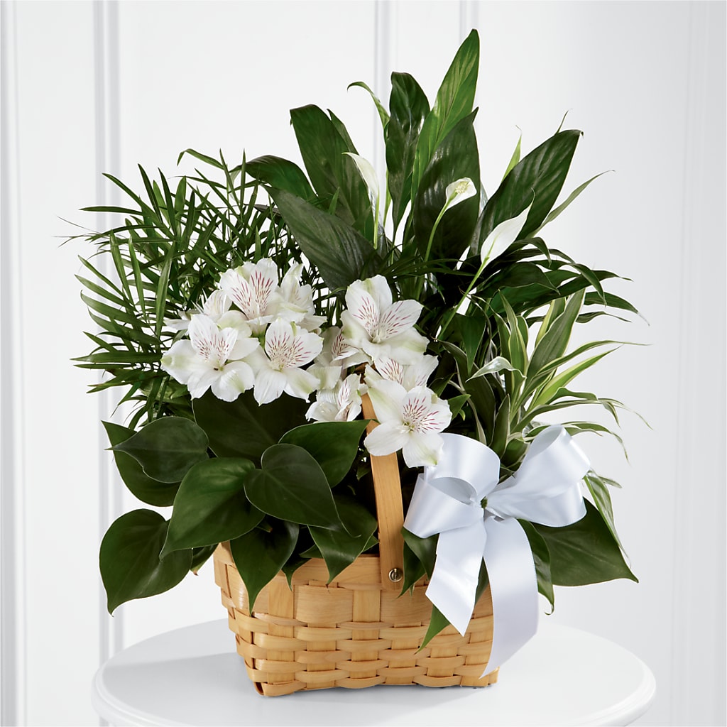 Peace & Serenity Dishgarden – Garside Florist, Vancouver WA