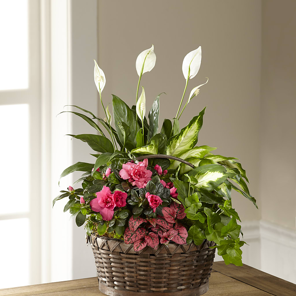 Dream in Pink Dishgarden – Garside Florist, Vancouver WA