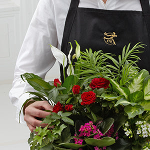 Florist Designed Blooming & Green Plants – Garside Florist, Vancouver WA