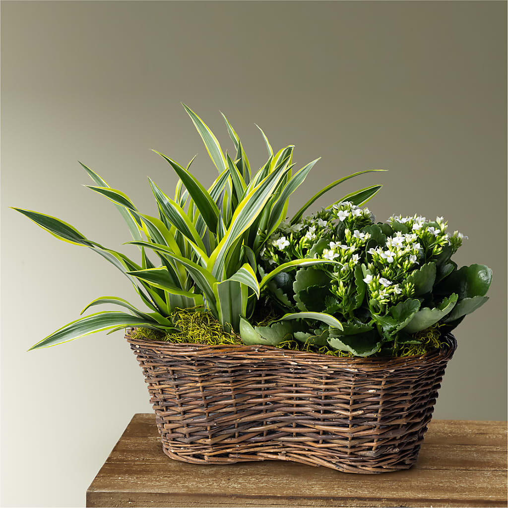 Blooming Garden – Garside Florist, Vancouver WA