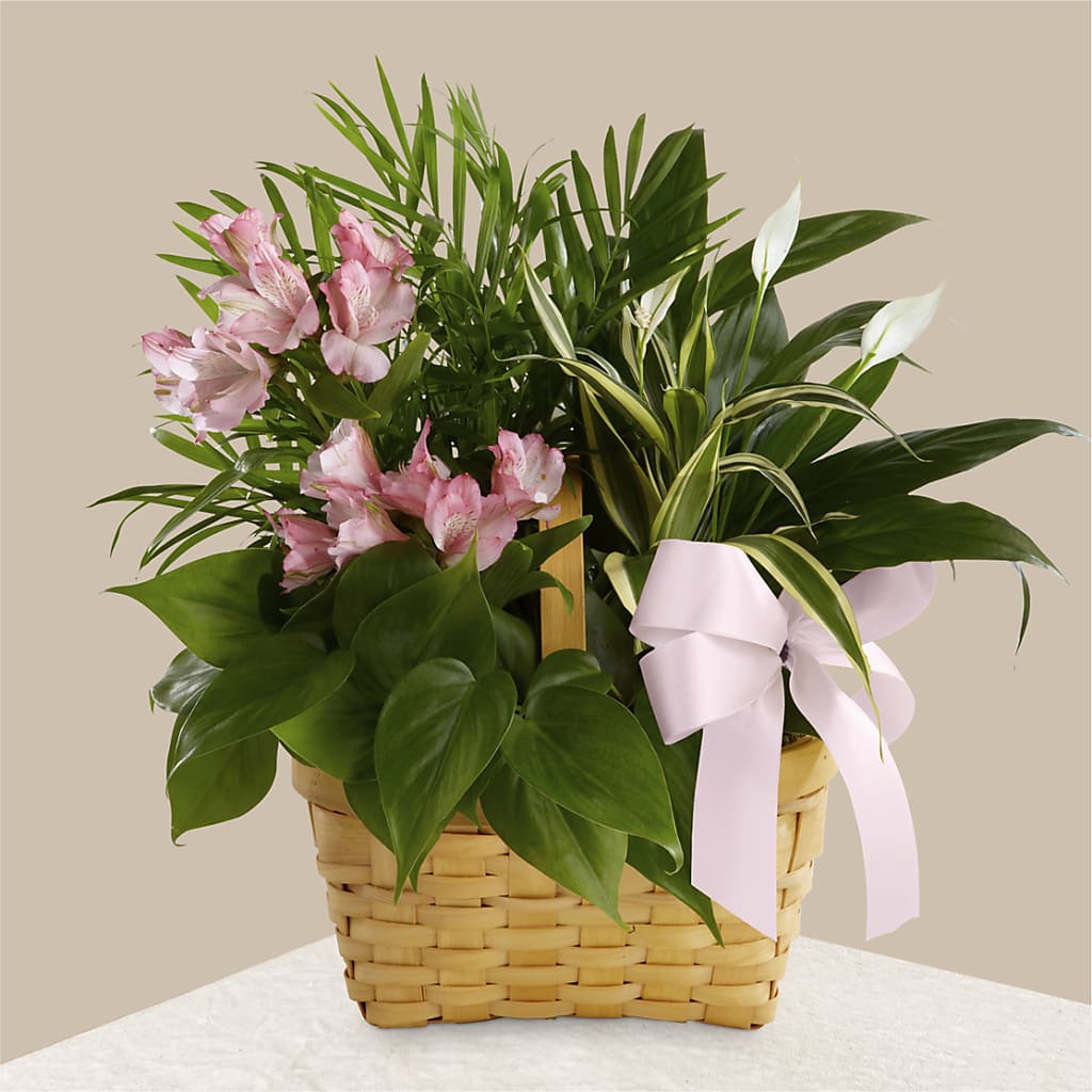 Living Spirit Dishgarden – Garside Florist, Vancouver WA