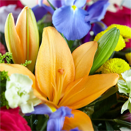 Bold & Bright – A Florist Original –  Garside Florist, Vancouver WA