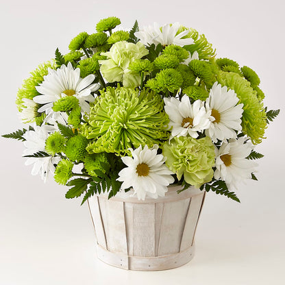 Lucky Charm Basket (Standard) –  Garside Florist, Vancouver WA