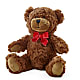 Adorable Plush Bear –  Garside Florist, Vancouver WA