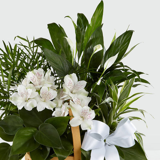 Peace & Serenity Dishgarden –  Garside Florist, Vancouver WA