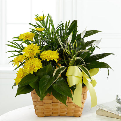 Loving Light Dishgarden –  Garside Florist, Vancouver WA