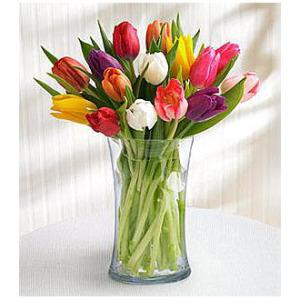 20 Stem Mixed Tulip Bouquet with Glass Vase