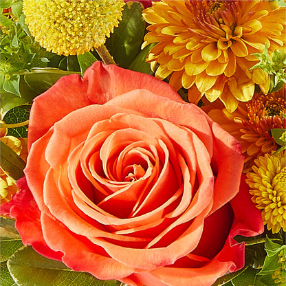 Gourdgeous Pumpkin –  Garside Florist, Vancouver WA