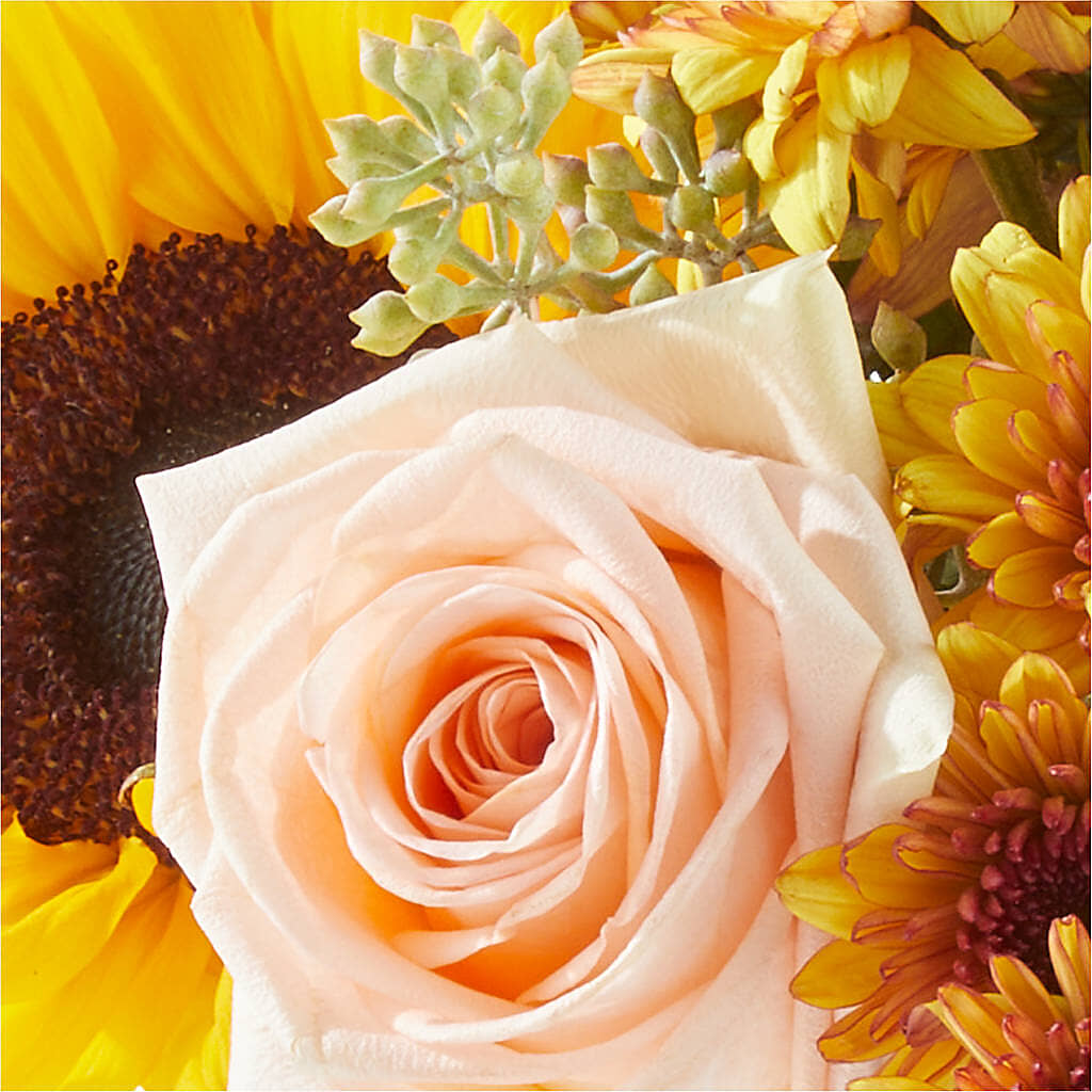 Pumpkin to Talk About Bouquet –  Garside Florist, Vancouver WA