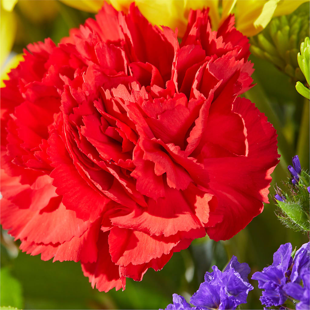 Brighter Days Bouquet –  Garside Florist, Vancouver WA