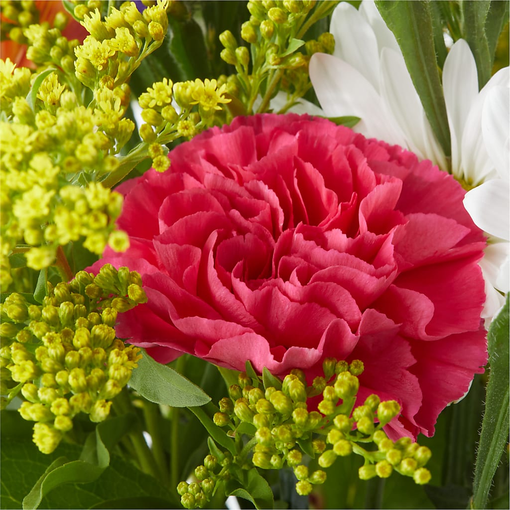 Oopsie Daisy Bouquet –  Garside Florist, Vancouver WA