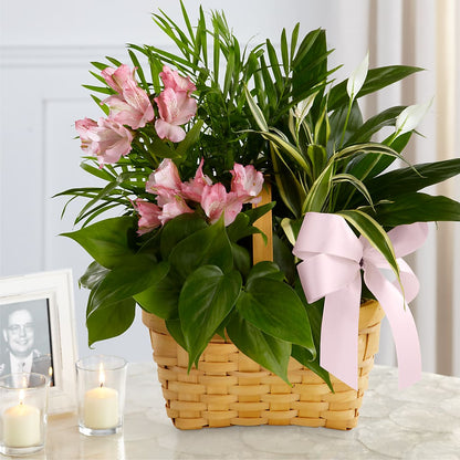 Living Spirit Dishgarden –  Garside Florist, Vancouver WA