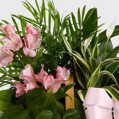 Living Spirit Dishgarden –  Garside Florist, Vancouver WA