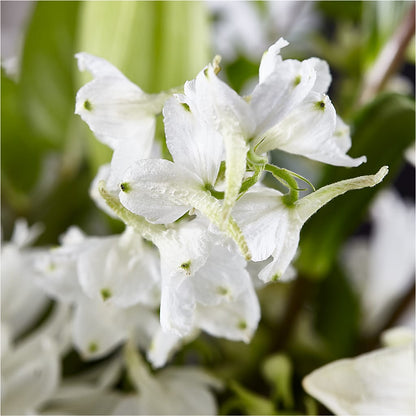 Classic Ivory – A Florist Original –  Garside Florist, Vancouver WA