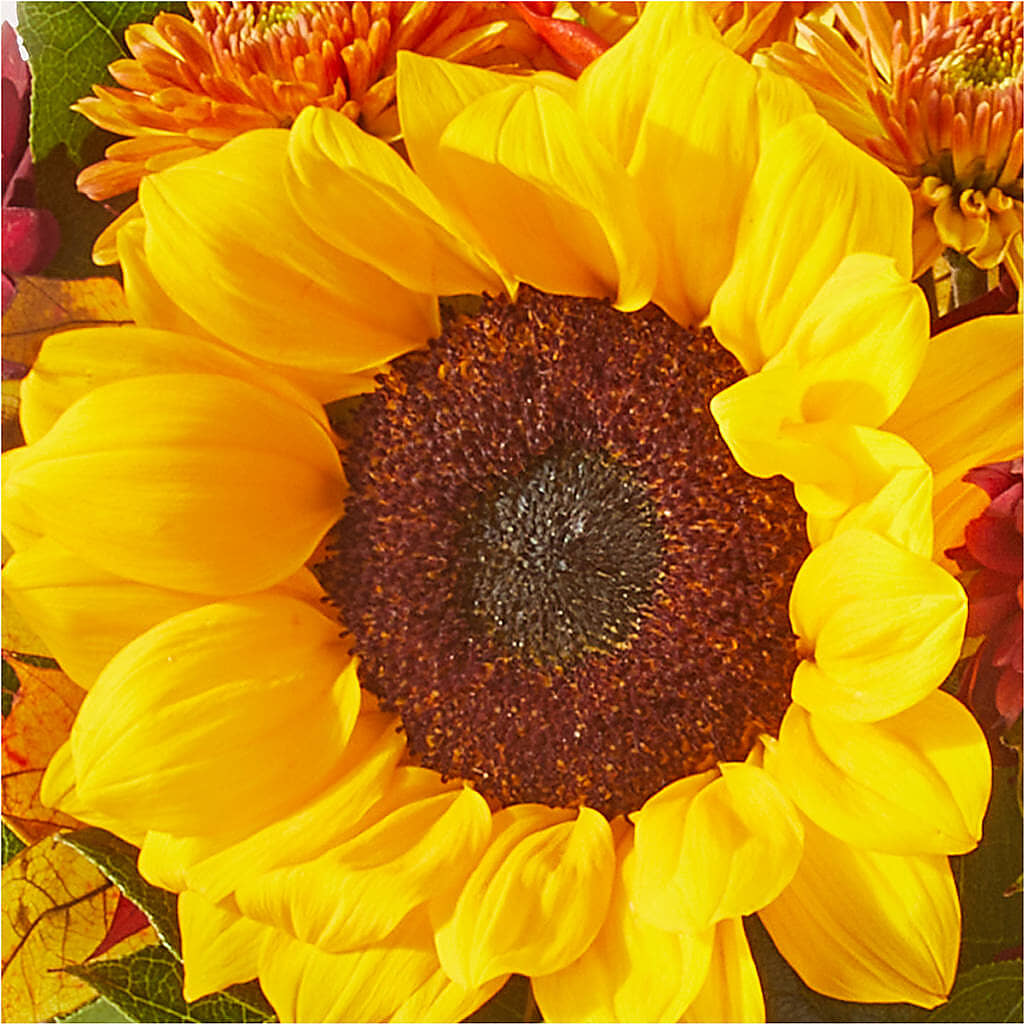 Sunny Side Bouquet –  Garside Florist, Vancouver WA